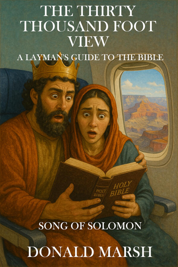 30K Foot View Song of Solomon